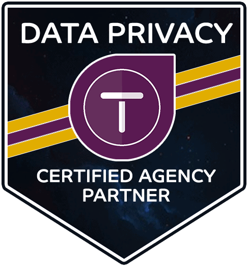 Our Website Data Privacy Solution